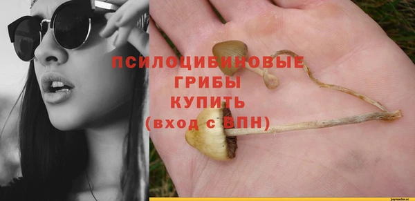 мяу мяу мука Усолье-Сибирское