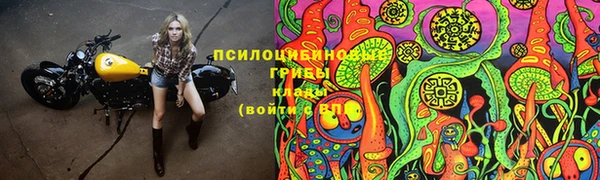 прущая мука Абинск