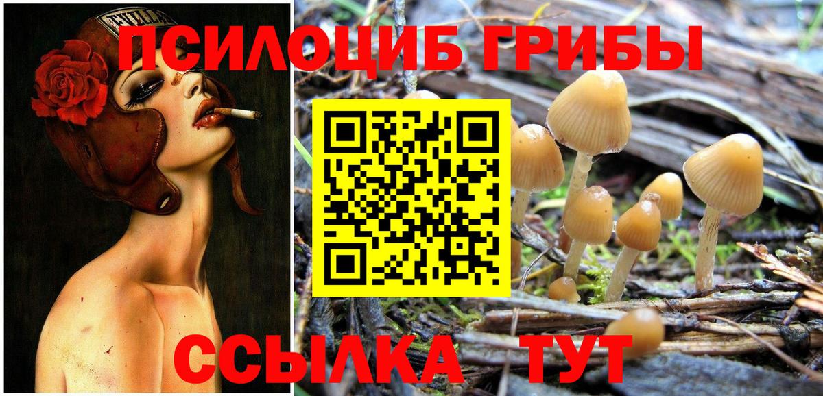 Иркутск  Псилоцибиновые грибы Magic Shrooms  Вход с VPN 